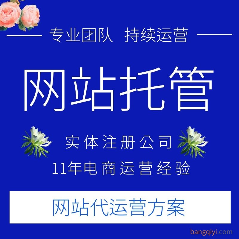 企业网站代运营