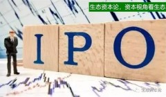 IPO造假警示录