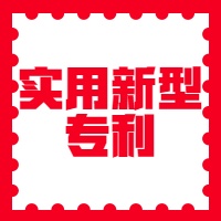 实用新型专利（个人）图2