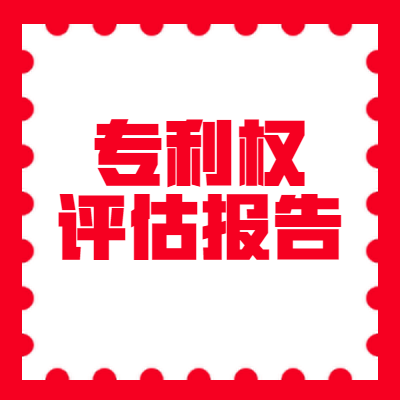 专利权评估报告图2
