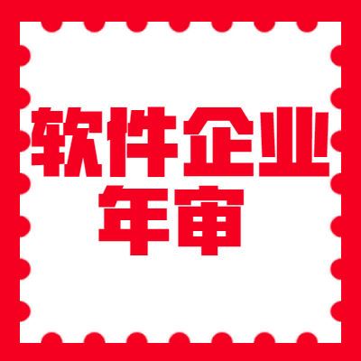 软件企业年审图2