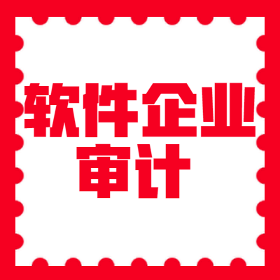 软件企业审计图2