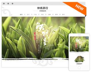 【创业必备】三合一网站建设网站制作pc端+手机端+微信 定制图3