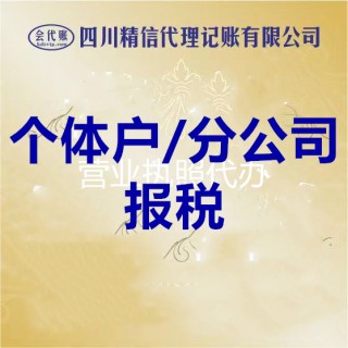 个体户/分公司报税