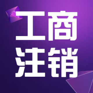 公司注销（一般纳税人）