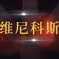 青岛维尼科斯汽车服务有限公司