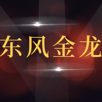 青岛东风金龙商贸有限公司汽车修理厂