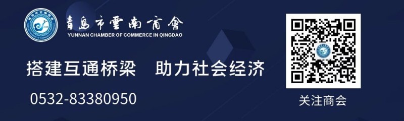 罗四侠