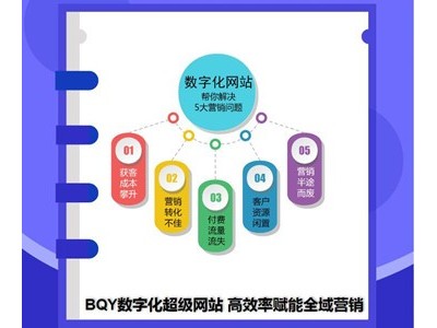 数字化官网系统/超级网站SAAS图3